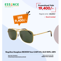 Ray Ban Sunglass RB3636 New CARVAN, GLD SHN, GRN